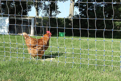 Starkline Electric Poultry Netting Kit C AC Energizer (48 x164 White/Blue Poultry Netting) (12/48/3) All in One Electric Fence Kit for Backyards, Homesteads, Ranches or Farms